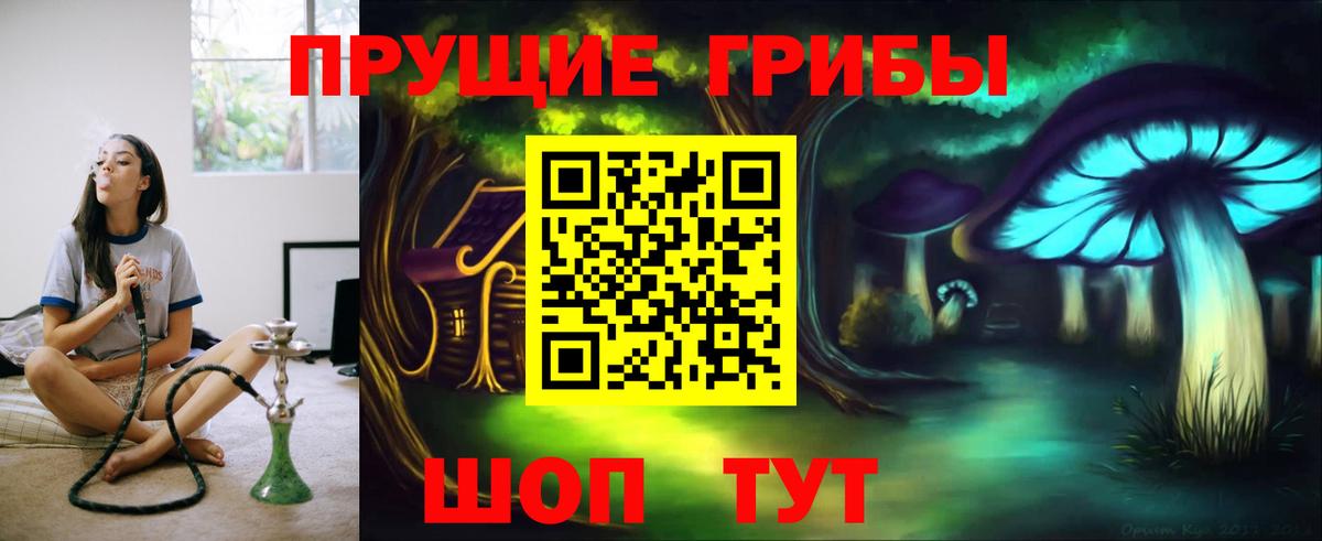 Чебоксары  Галлюциногенные грибы прущие грибы  Вход с VPN 